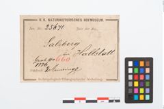 Etikett zu Bronzebuckelarmreif (NHMW-PRAE-025671)